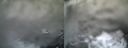 ./images/calvert/buxton1/20210401/buxton120210401_173503.jpg