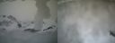 ./images/calvert/buxton1/20210407/buxton120210407_174502.jpg