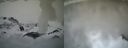 ./images/calvert/buxton1/20210407/buxton120210407_175002.jpg