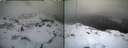 ./images/calvert/buxton1/20250130/buxton120250130_160507M.jpg