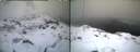 ./images/calvert/buxton1/20250130/buxton120250130_170507M.jpg
