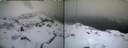 ./images/calvert/buxton1/20250130/buxton120250130_171510M.jpg