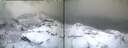 ./images/calvert/buxton1/20250309/buxton120250309_081007M.jpg