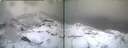 ./images/calvert/buxton1/20250309/buxton120250309_081510M.jpg