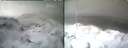 ./images/calvert/buxton1/20250309/buxton120250309_113509M.jpg
