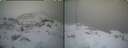 ./images/calvert/buxton1/20250311/buxton120250311_114508M.jpg