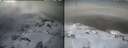 ./images/calvert/buxton1/20250311/buxton120250311_125008M.jpg