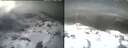./images/calvert/buxton1/20250311/buxton120250311_125508M.jpg