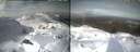 ./images/calvert/buxton1/20250317/buxton120250317_105509M.jpg