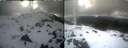 ./images/calvert/buxton1/20250317/buxton120250317_173009M.jpg