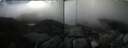 ./images/calvert/buxton1/20250425/buxton120250425_153010M.jpg