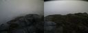 ./images/calvert/buxton2/20131214/buxton220131214_142414M.jpg