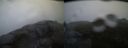 ./images/calvert/buxton2/20140129/buxton220140129_083601M.jpg