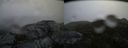 ./images/calvert/buxton2/20140129/buxton220140129_153903M.jpg