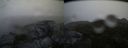 ./images/calvert/buxton2/20140129/buxton220140129_155401M.jpg