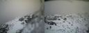 ./images/calvert/buxton2/20140219/buxton220140219_132503M.jpg