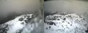 ./images/calvert/buxton2/20140219/buxton220140219_134502M.jpg