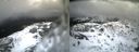 ./images/calvert/buxton2/20140219/buxton220140219_135003M.jpg