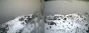 ./images/calvert/buxton2/20140219/buxton220140219_142501M.jpg