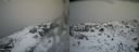 ./images/calvert/buxton2/20140219/buxton220140219_144502M.jpg