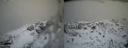 ./images/calvert/buxton2/20140219/buxton220140219_145002M.jpg
