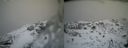 ./images/calvert/buxton2/20140219/buxton220140219_145503M.jpg