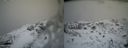 ./images/calvert/buxton2/20140219/buxton220140219_150002M.jpg