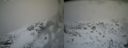 ./images/calvert/buxton2/20140219/buxton220140219_150503M.jpg