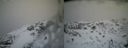 ./images/calvert/buxton2/20140219/buxton220140219_151003M.jpg