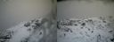./images/calvert/buxton2/20140219/buxton220140219_151503M.jpg