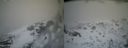 ./images/calvert/buxton2/20140219/buxton220140219_155003M.jpg