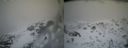 ./images/calvert/buxton2/20140219/buxton220140219_161503M.jpg