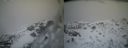 ./images/calvert/buxton2/20140219/buxton220140219_163502M.jpg