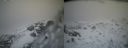 ./images/calvert/buxton2/20140219/buxton220140219_164001M.jpg