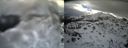 ./images/calvert/buxton2/20140220/buxton220140220_105003M.jpg