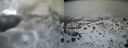 ./images/calvert/buxton2/20140220/buxton220140220_122003M.jpg