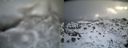 ./images/calvert/buxton2/20140220/buxton220140220_131503M.jpg
