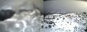 ./images/calvert/buxton2/20140220/buxton220140220_132003M.jpg