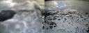 ./images/calvert/buxton2/20140220/buxton220140220_135003M.jpg