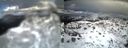 ./images/calvert/buxton2/20140220/buxton220140220_161503M.jpg