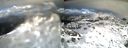 ./images/calvert/buxton2/20140220/buxton220140220_170002M.jpg