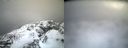 ./images/calvert/buxton2/20140222/buxton220140222_110003M.jpg