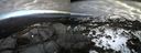 ./images/calvert/buxton2/20140301/buxton220140301_150502M.jpg