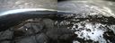./images/calvert/buxton2/20140301/buxton220140301_151003M.jpg