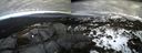 ./images/calvert/buxton2/20140301/buxton220140301_152501M.jpg