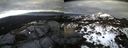 ./images/calvert/buxton2/20140301/buxton220140301_173503M.jpg