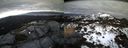 ./images/calvert/buxton2/20140301/buxton220140301_174503M.jpg