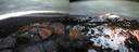 ./images/calvert/buxton2/20140301/buxton220140301_181502M.jpg