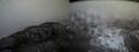 ./images/calvert/buxton2/20140306/buxton220140306_183003M.jpg