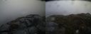 ./images/calvert/buxton2/20140329/buxton220140329_190502M.jpg
